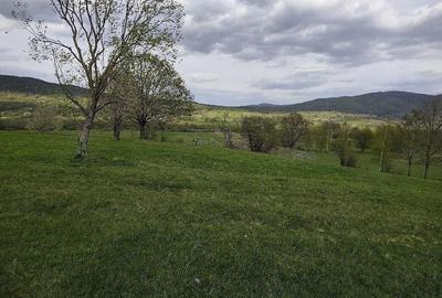 Teren de 823 mp, în Șinca - 6