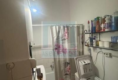 Apartament 2 camere ,circular - zona Astra/Calea București - 13