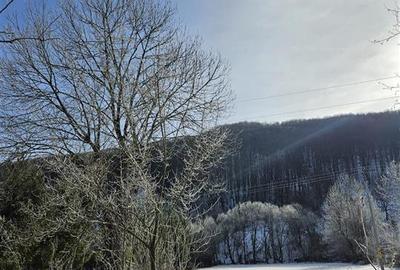 Teren Construcții intravilan de 3200 mp, în Est - 7