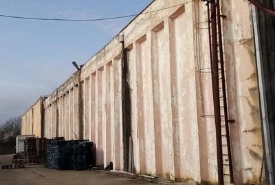 Spațiu comercial, de 6,800 mp, în Lipova - 3