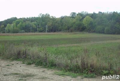 Teren de 1600 mp, în Bolotești