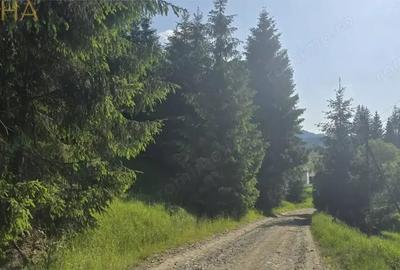 Teren de 1000 mp, în Colibița - 3