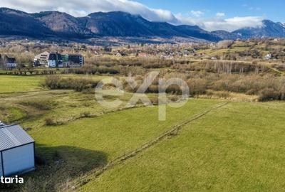 Spațiu comercial, în Bran - 3