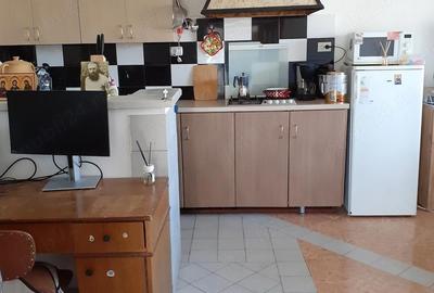 Casă cu 2 camere cu Teren 1200 Mp în Sintea Mare - 4