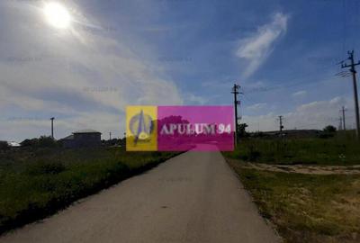 Teren construc?ie casa - 1 Decembrie - Zona Metropolita... - 5