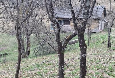 Spațiu comercial, în Valea Vișeului - 7