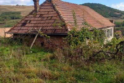 Casă cu 2 camere în Tibru - 1