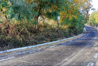 Spațiu comercial, în Lisaura - 6