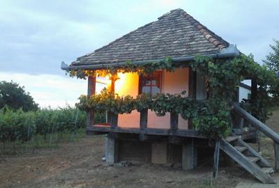 Proprietate specială, de 1,000 mp, în Ghioroc - 10