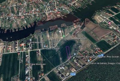 Teren 3000 mp in Snagov zona in dezvoltare, aproape... - 10