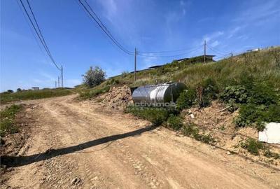 Teren de 640 mp, în Vișan