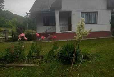 Casă cu 3 camere în Poiana Blenchii - 1