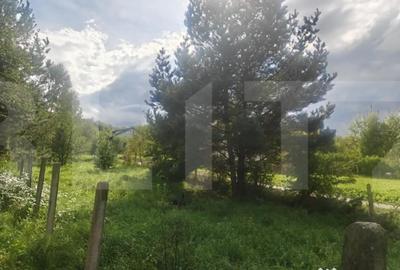 Teren de 2000 mp, în Feleacu - 8