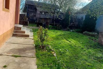 Casă cu 3 camere cu Teren 3640 Mp în Boiu - 2