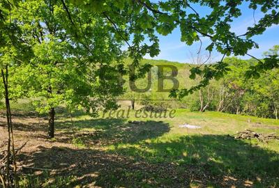 Teren intravilan | langa padure si parau | Luncani/Bacau - 2