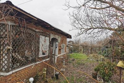 Casă cu Teren 1200 Mp în Gratia - 5