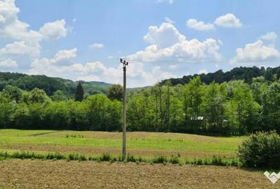 Teren de 7000 mp, în Ștubeie Tisa - 15
