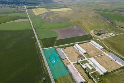 Teren Intravilan Investi?ii 11.600 mp Salonta - 1