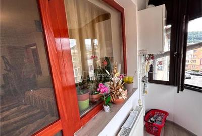 Apartament cu 3 camere decomandat în Luncă - 17