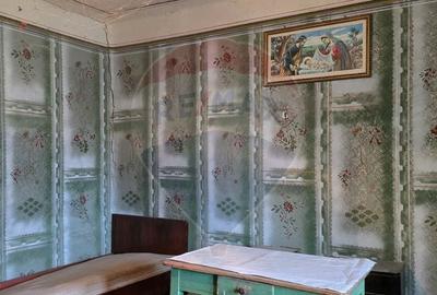 Casă individuală cu 3 camere cu Teren 7290 Mp în Socodor - 9