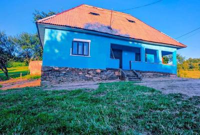 Casă cu 2 camere în Copalnic - 6