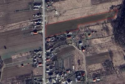 Teren Construcții intravilan de 13383 mp, în Broșteni (Costești) - 3