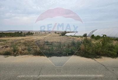 Teren intravilan 5000 mp Isalnita - 1