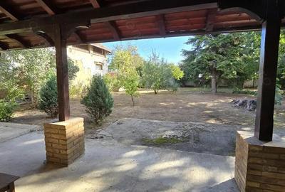 Casă cu 3 camere cu Teren 549 Mp în Cenad - 9