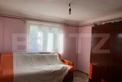 Casă cu 4 camere cu Teren 4000 Mp în Central