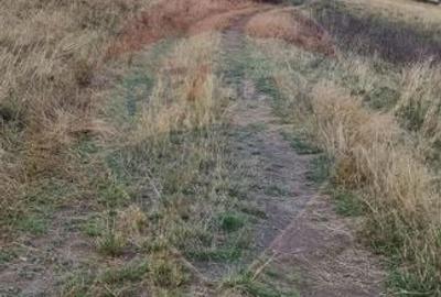 Teren agricol extravilan de 5609 mp, în Gura Râului - 5