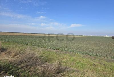 Teren de 22418 mp, în Calea Aradului - 5