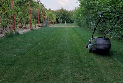 Casa de vanzare Oituz 59 - 6