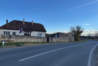 Casă cu 3 camere în Cărpiniș - 6