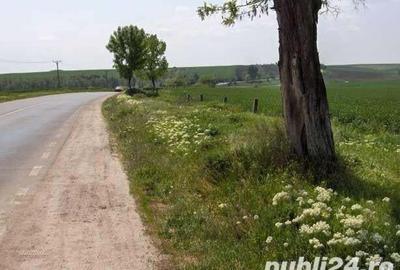 Teren de 45000 mp, în Central - 8
