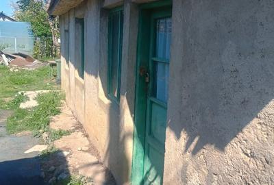 Casă cu Teren 300 Mp în Amara - 1