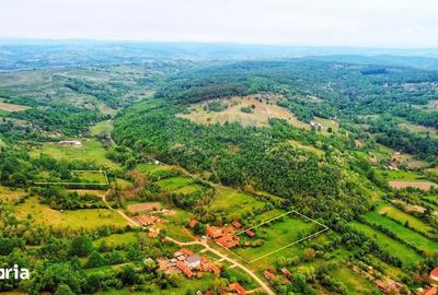 Casă cu 4 camere cu Teren 10486 Mp în Ohaba Lungă - 2