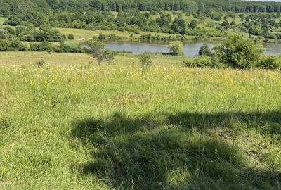 Spațiu comercial, în Sadu - 4