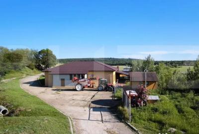 Spațiu comercial, de 450 mp, în Central - 5