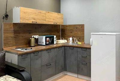 Apartament cu 1 camera in zona Iosefin - 3