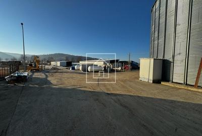 Fabrica de Furaje FNC cu Ferma de Struti in Cornatel - 13Km de Sibiu - 7