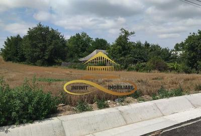 Teren intravilan 5400 mp de vanzare Filipesti / Bacau - 4