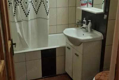 Garsonieră nedecomandată în Badea Cârțan - 2