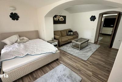 Garsonieră în Ultracentral - 5