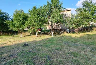 Spațiu comercial, în Corușu - 4