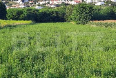 Teren de 1000 mp, în Borhanci - 3