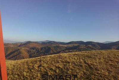 Casa individuala cu teren zona Paltinis Casa individuala cu teren zona Paltinis - 9