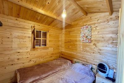 Cabane de vanzare, cu 3 camere, 50 mp, zona Brad - 2