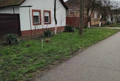 Casă cu 6 camere cu Teren 2984 Mp în Chișineu-Criș - 1