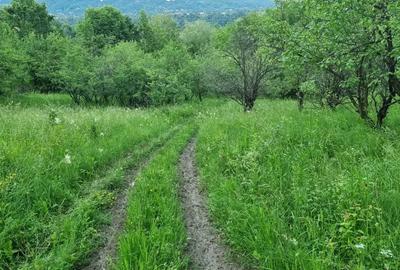Teren de 5200 mp, în Central - 5