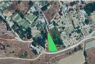 Teren construibil com.Mahmudia la 500m de Dunare - 2